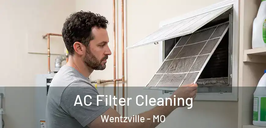 AC Filter Cleaning Wentzville - MO