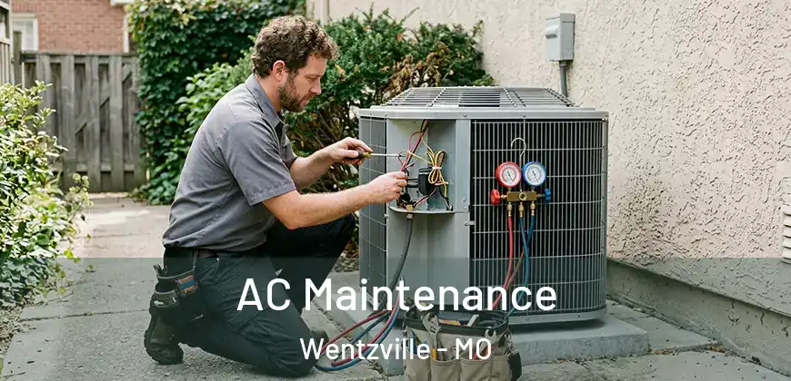 AC Maintenance Wentzville - MO