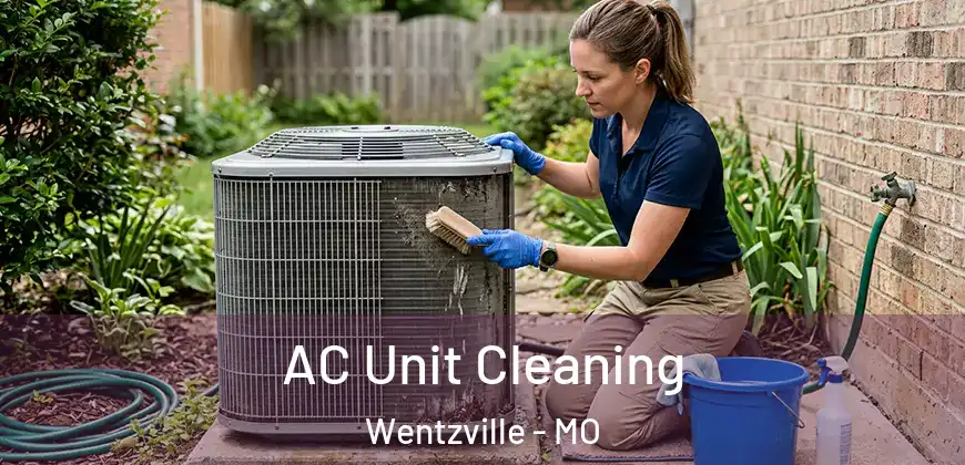 AC Unit Cleaning Wentzville - MO
