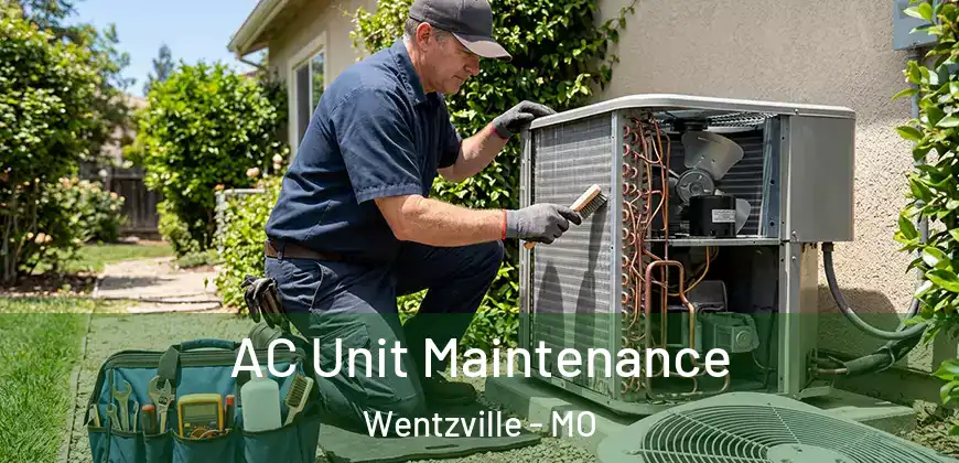 AC Unit Maintenance Wentzville - MO