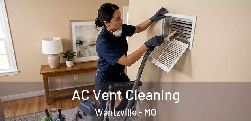 AC Vent Cleaning Wentzville - MO
