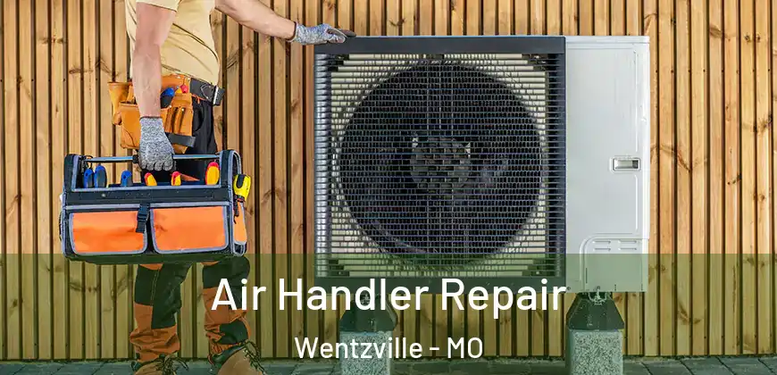 Air Handler Repair Wentzville - MO