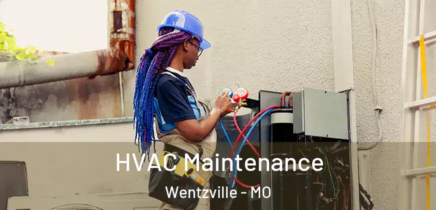 HVAC Maintenance Wentzville - MO