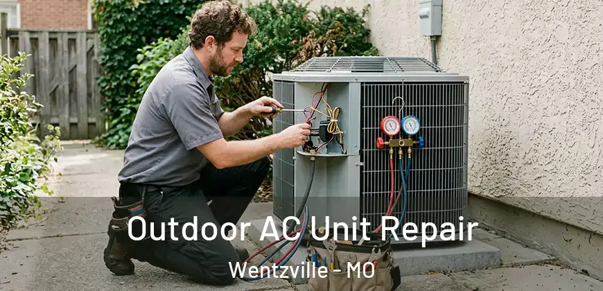 Outdoor AC Unit Repair Wentzville - MO